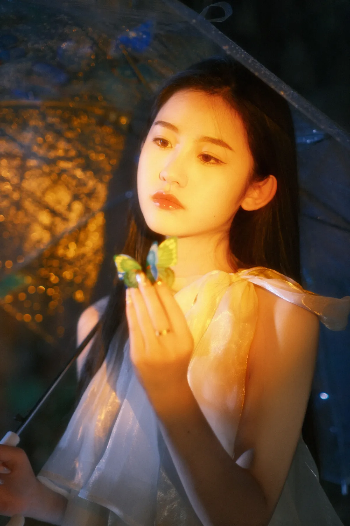 碎梦雨蝶