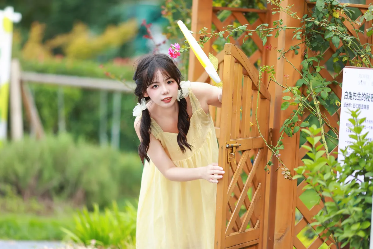 小院夏天