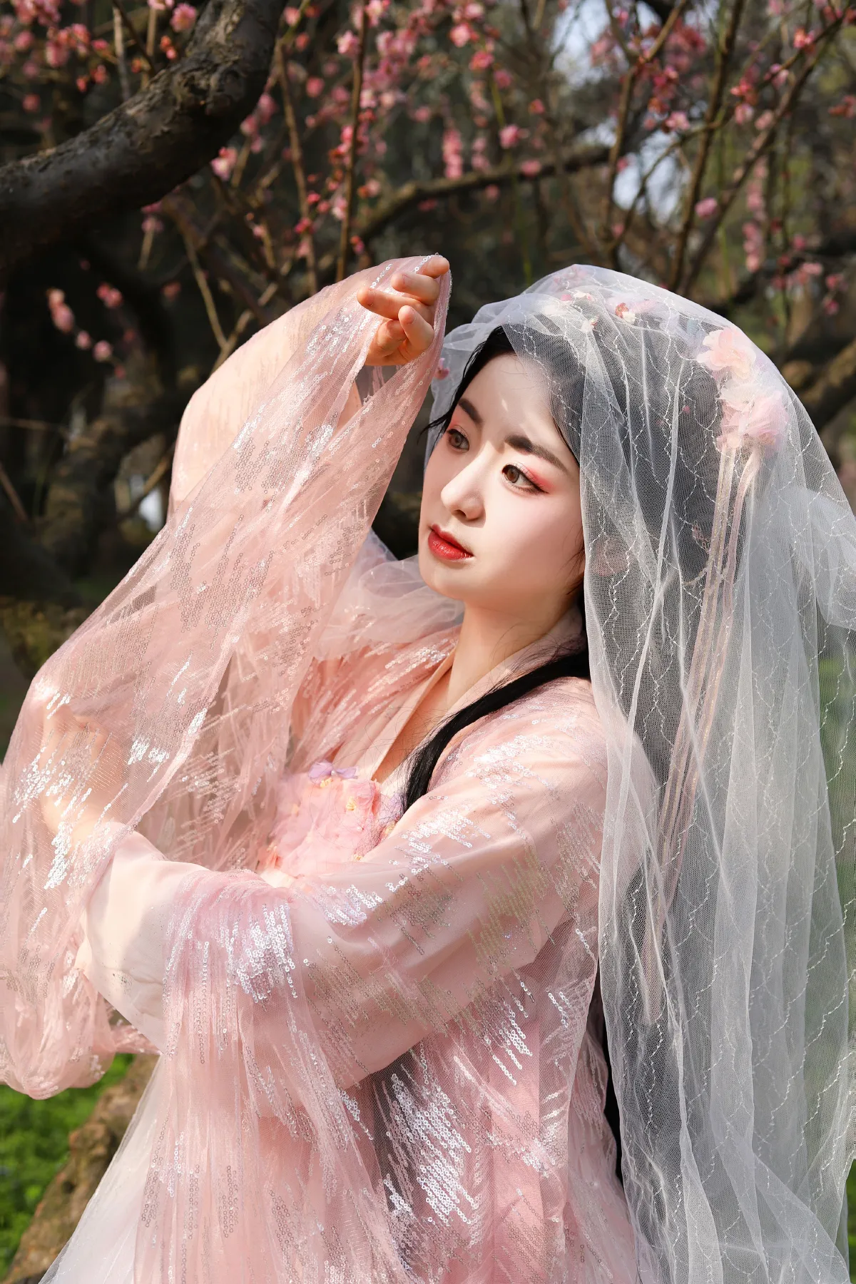 梅花仙子