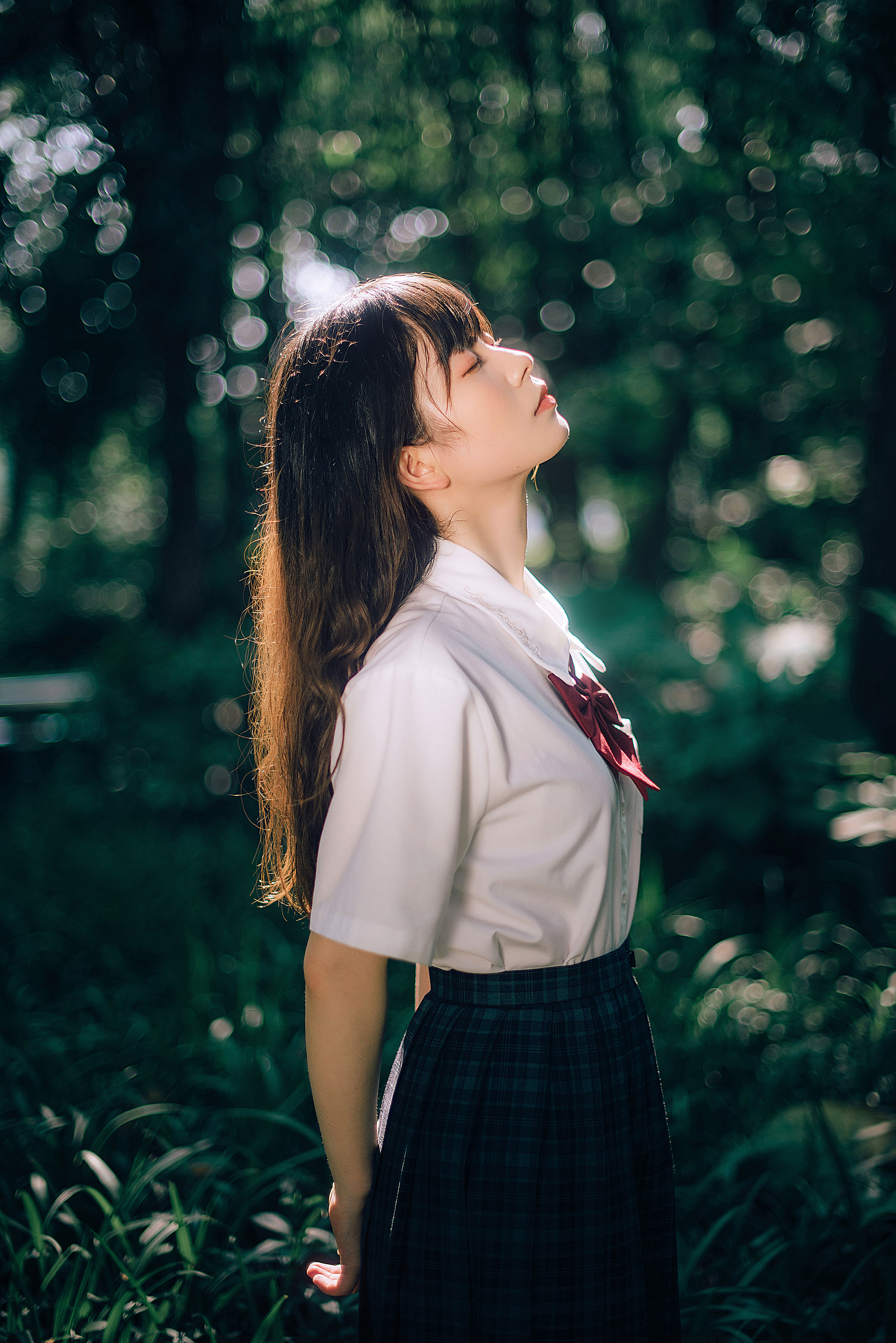 阳光是免费的