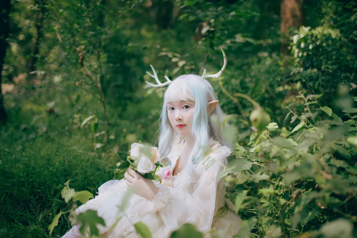 森林小白鹿