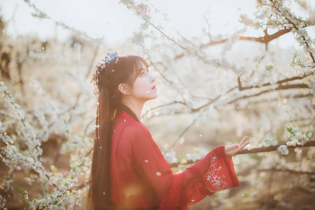 知花事2