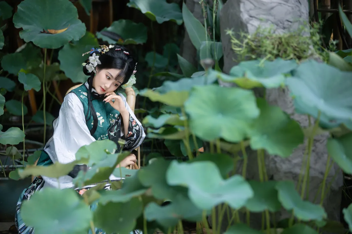 风举荷
