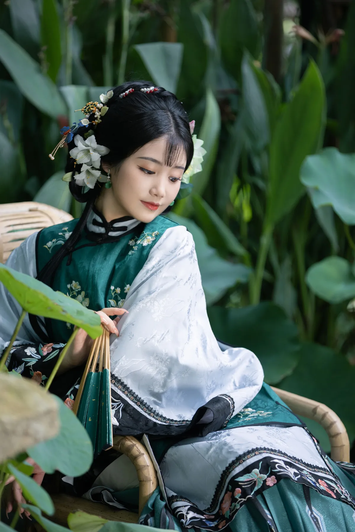 风举荷2
