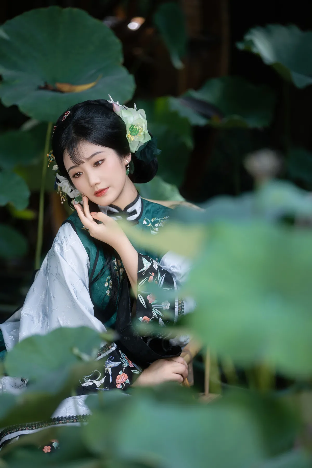 风举荷