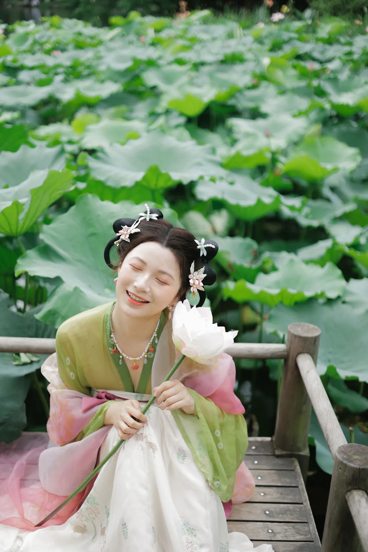 好运莲莲