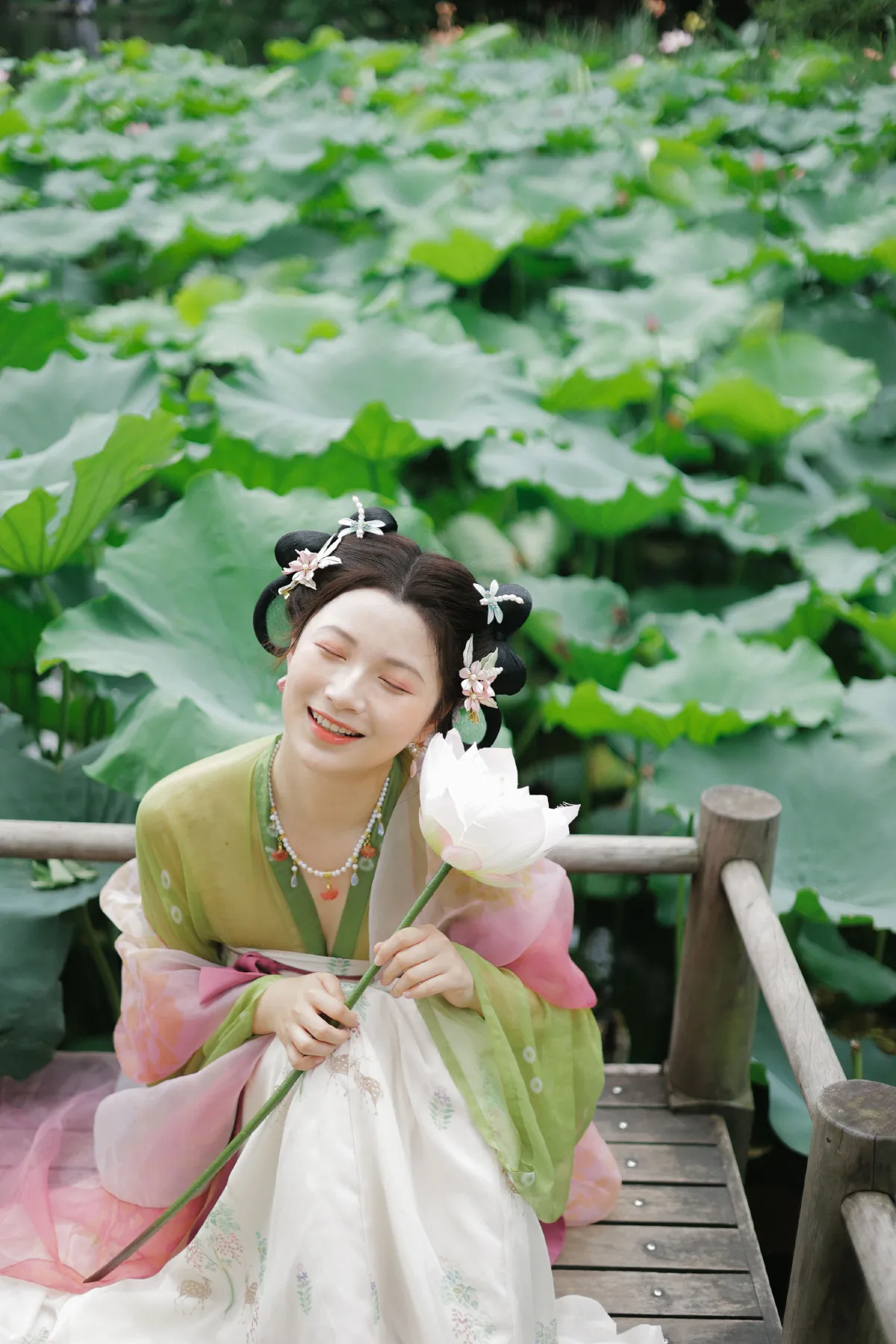 好运莲莲2