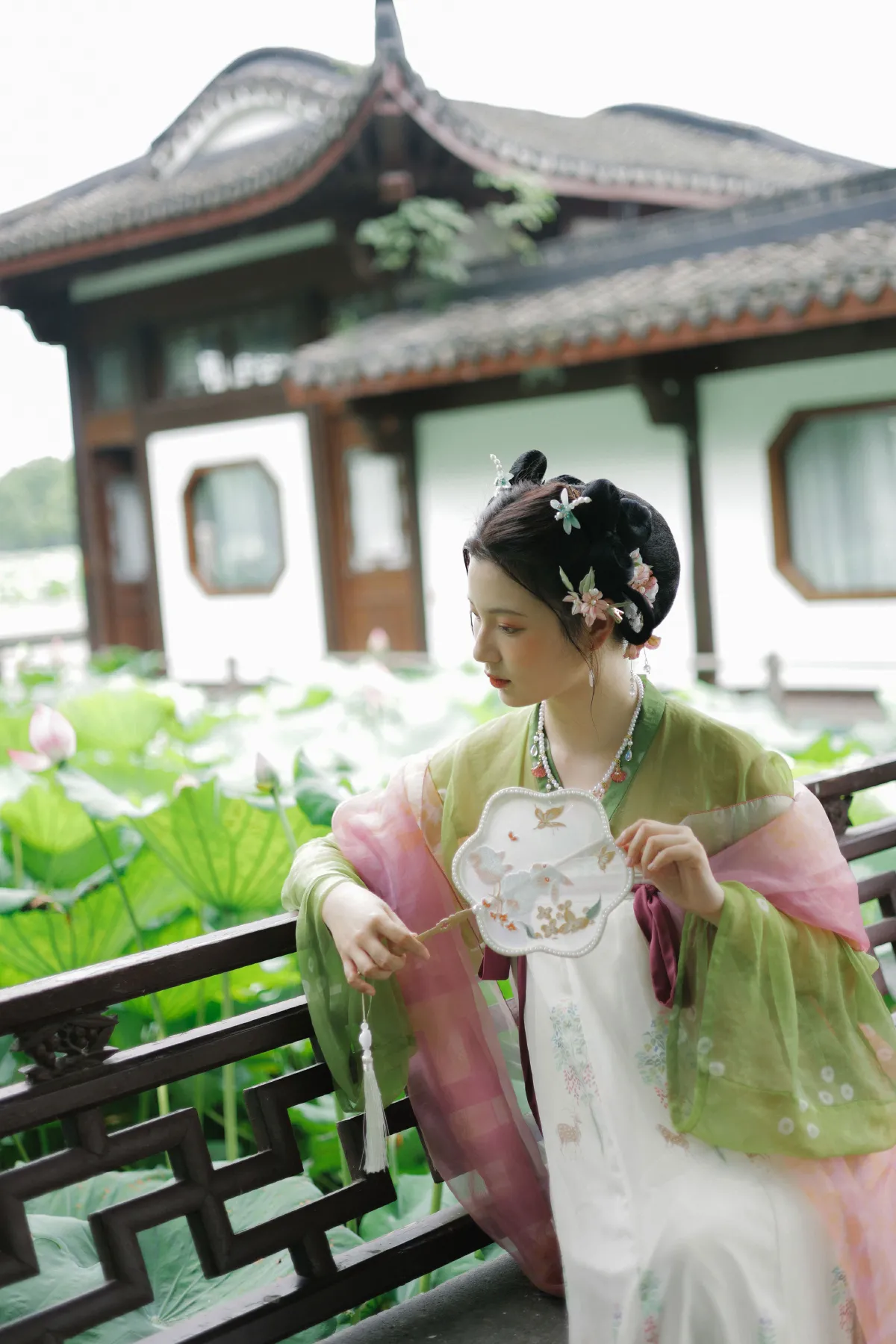 好运莲莲