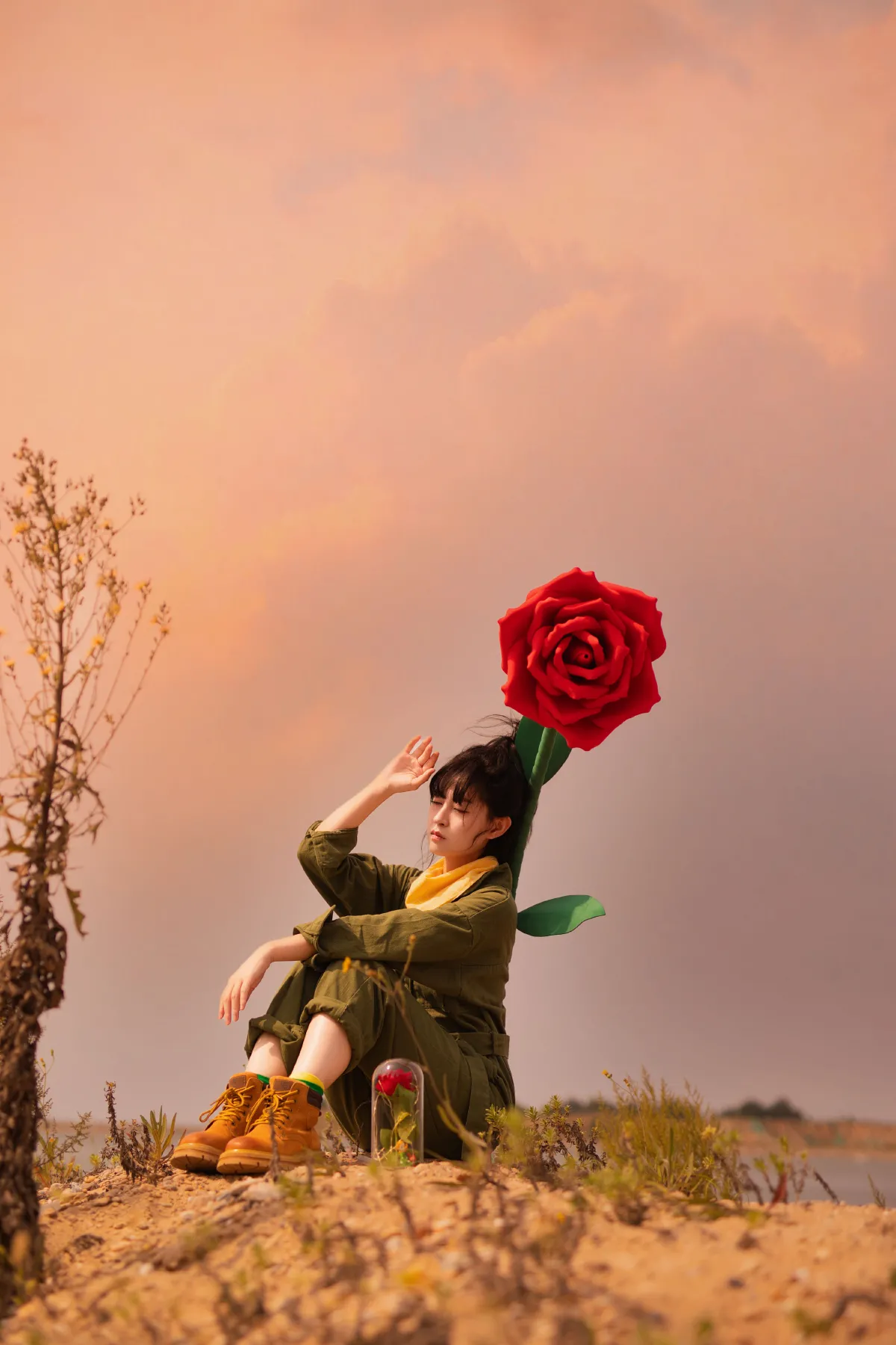 小王子和他的星球