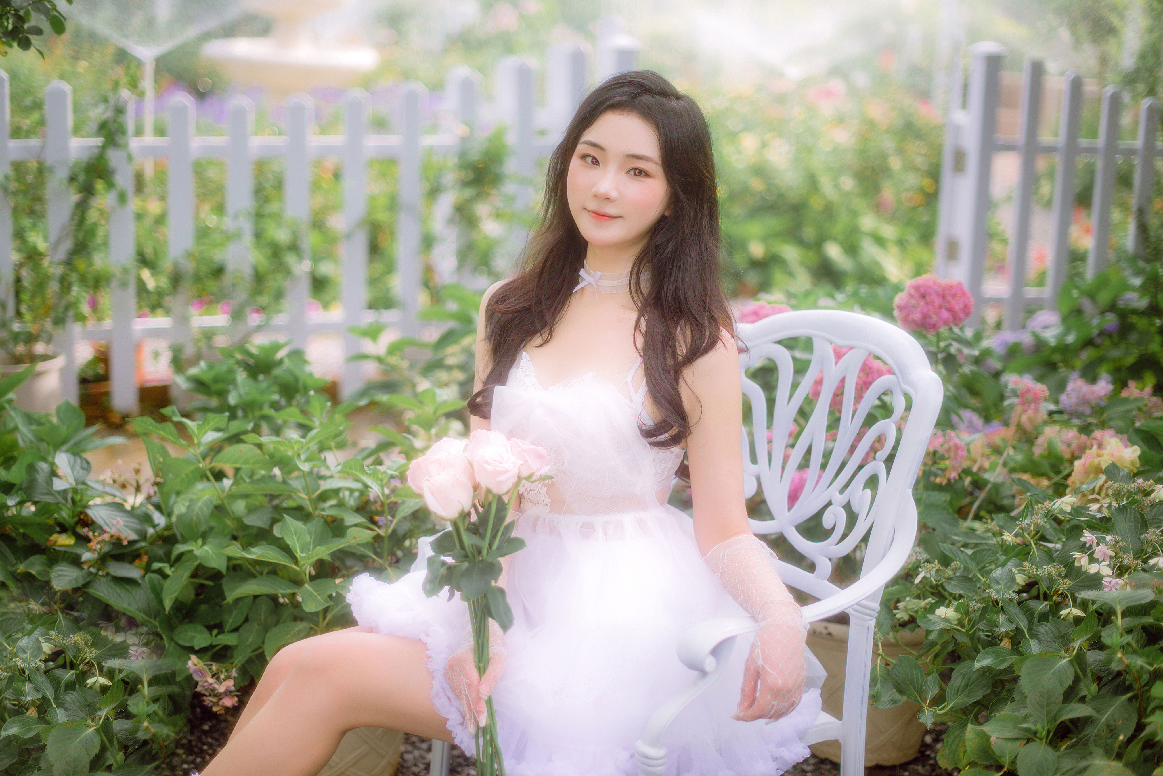 我将玫瑰捧在手里