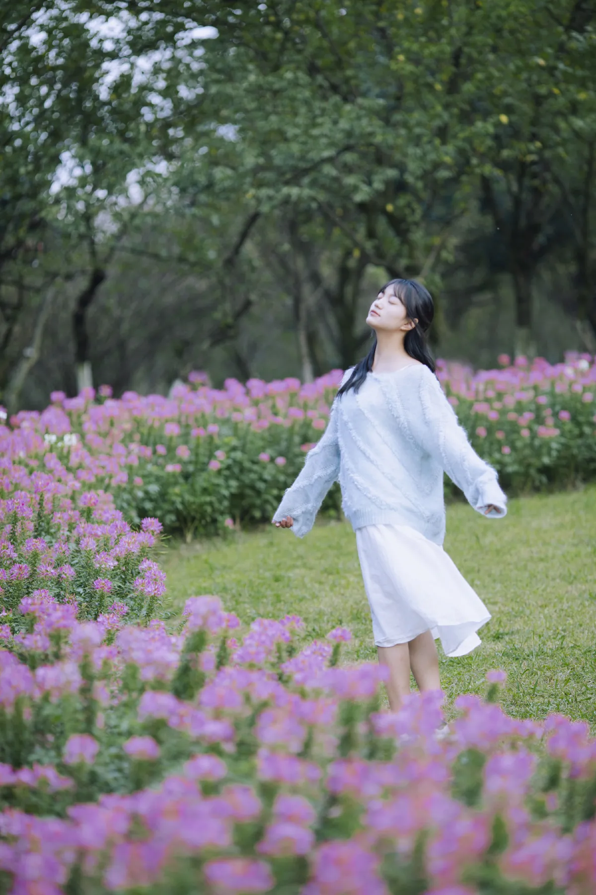 秋梦中