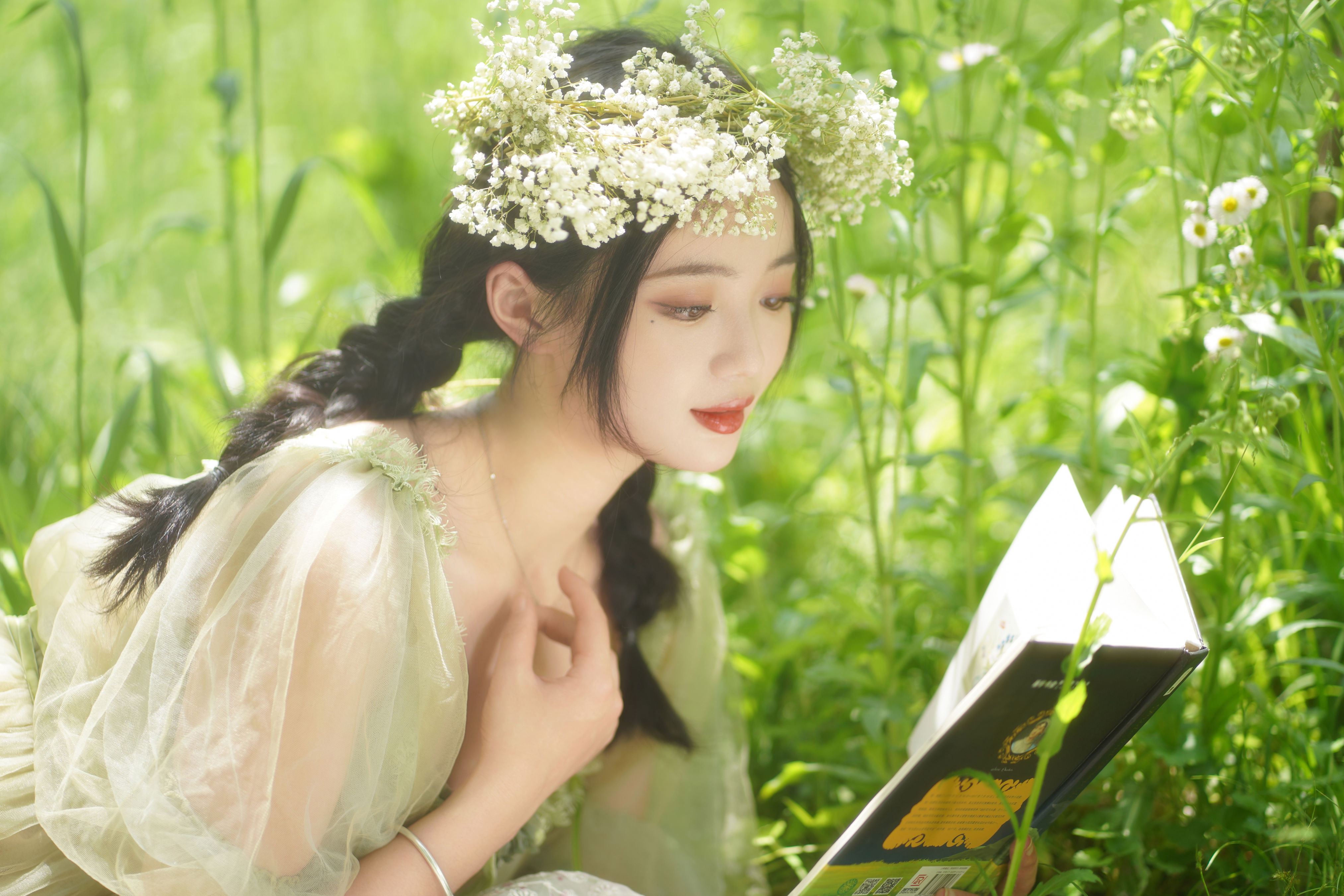 误入绿野仙踪