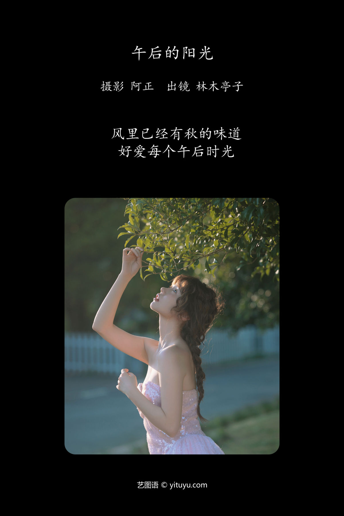 阿正_林木婷子《午后的阳光》美图作品图片2