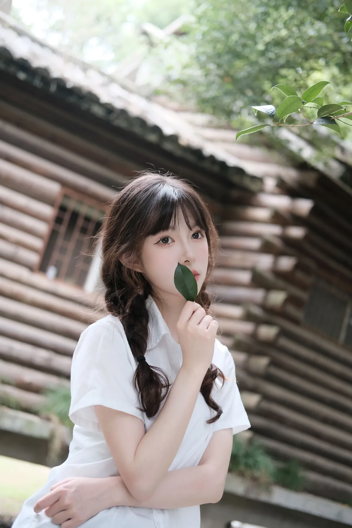 梦中的蝴蝶
