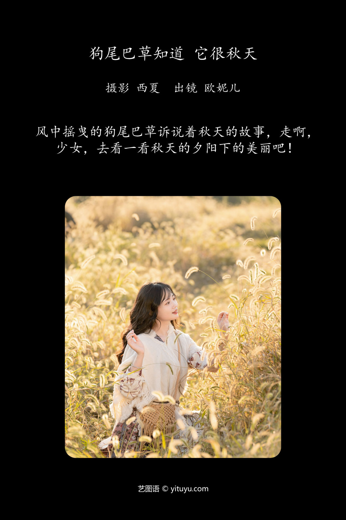 西夏_小欧O《狗尾巴草知道，它很秋天》美图作品图片2