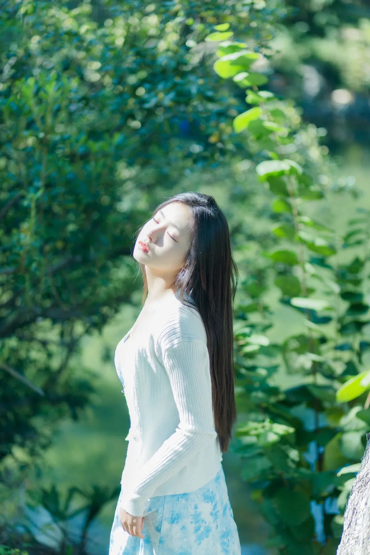 怦怦3