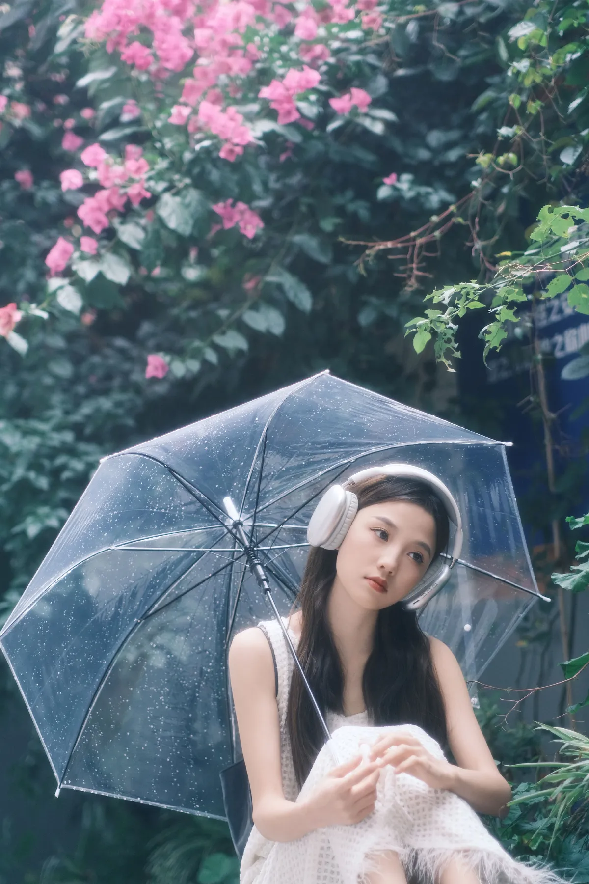 雨后清新5