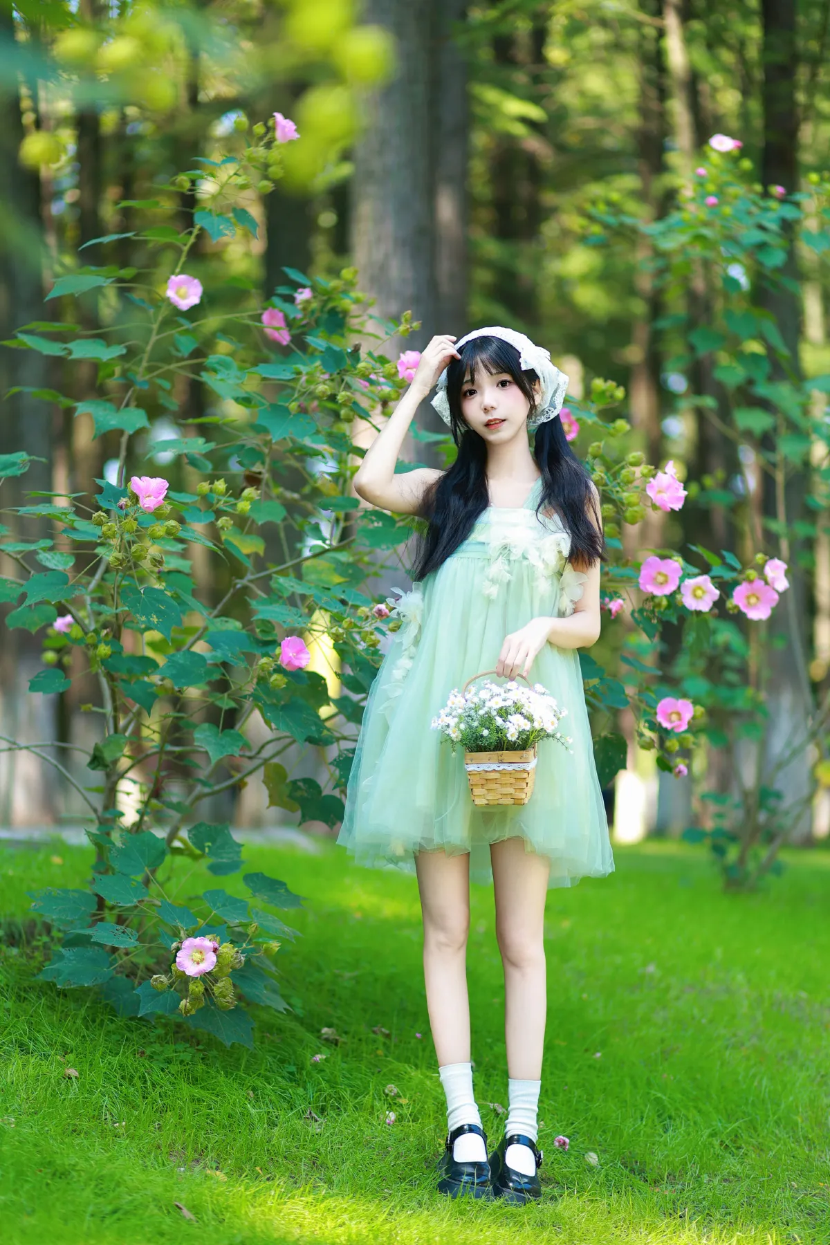 木棉花春天1