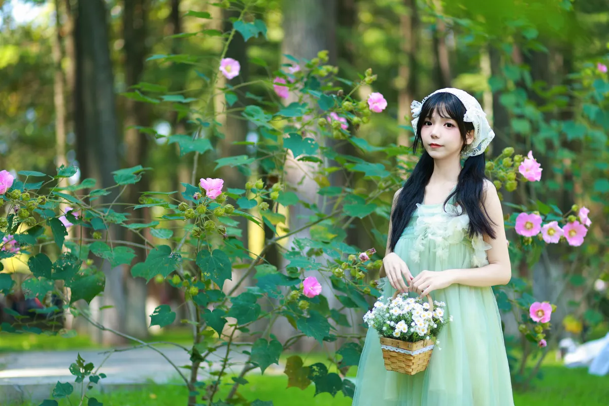 木棉花春天