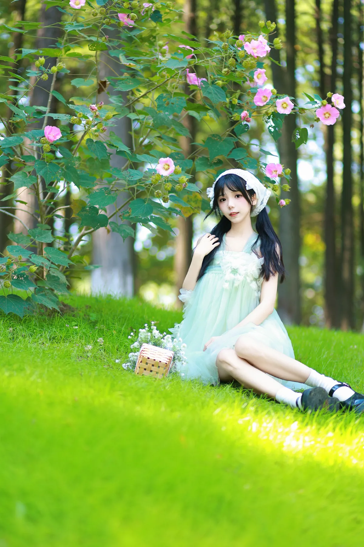 木棉花春天