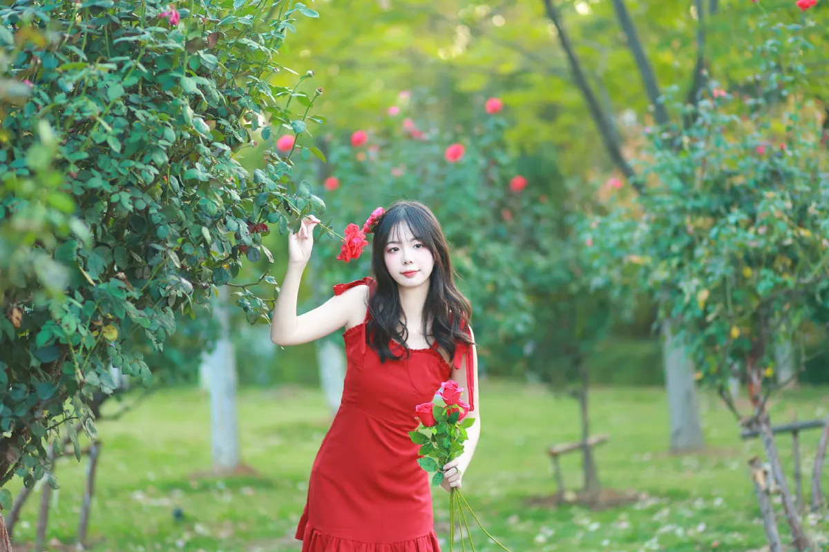 玫瑰园的少女