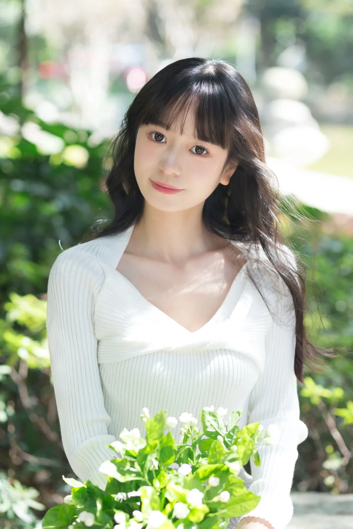 关于茉莉1