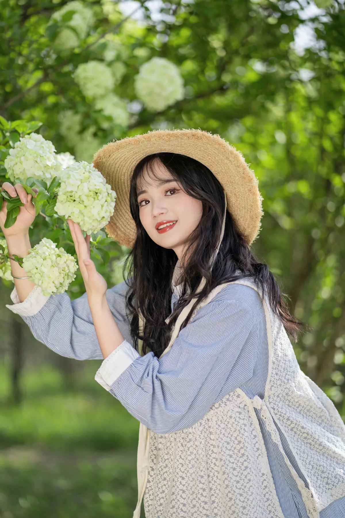 春日无尽绿3
