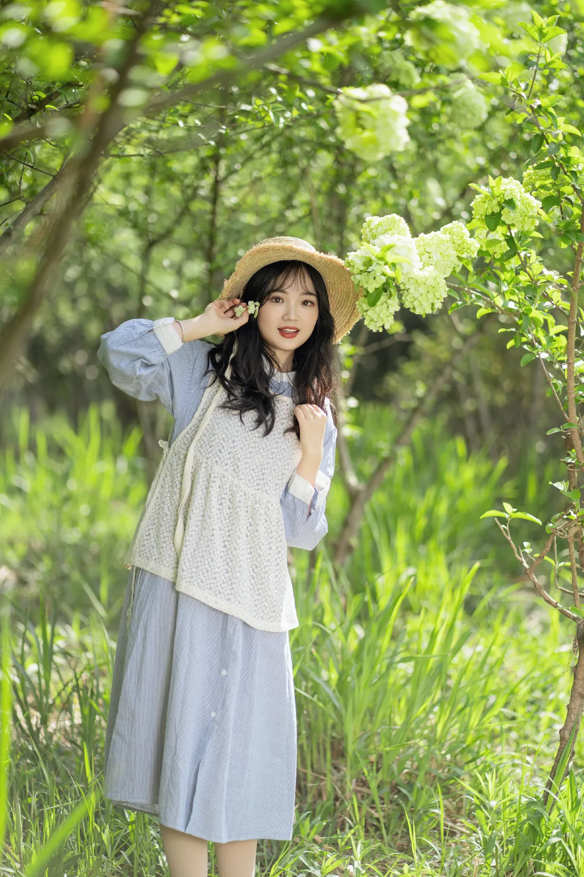 春日无尽绿