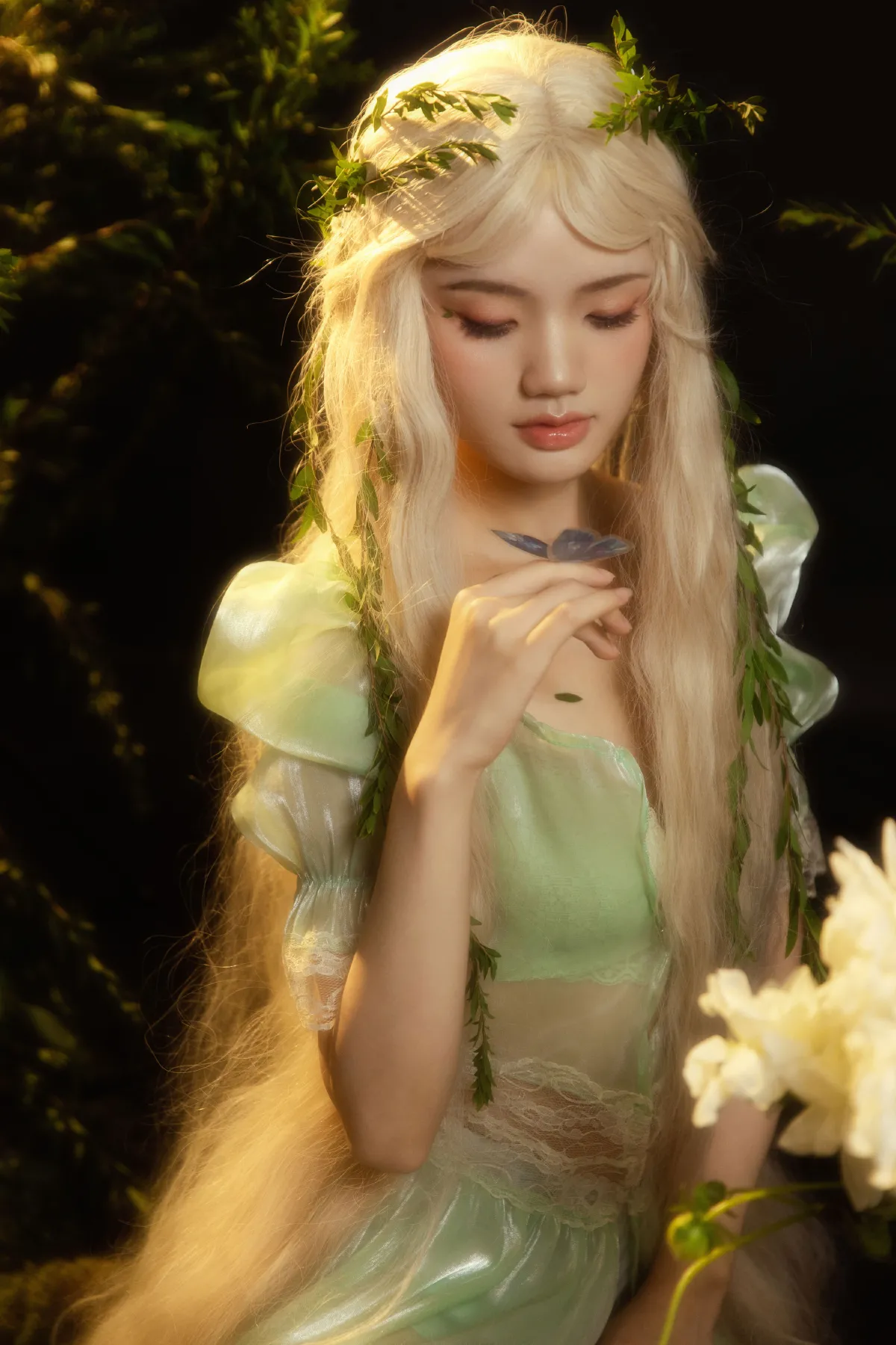 森的精灵