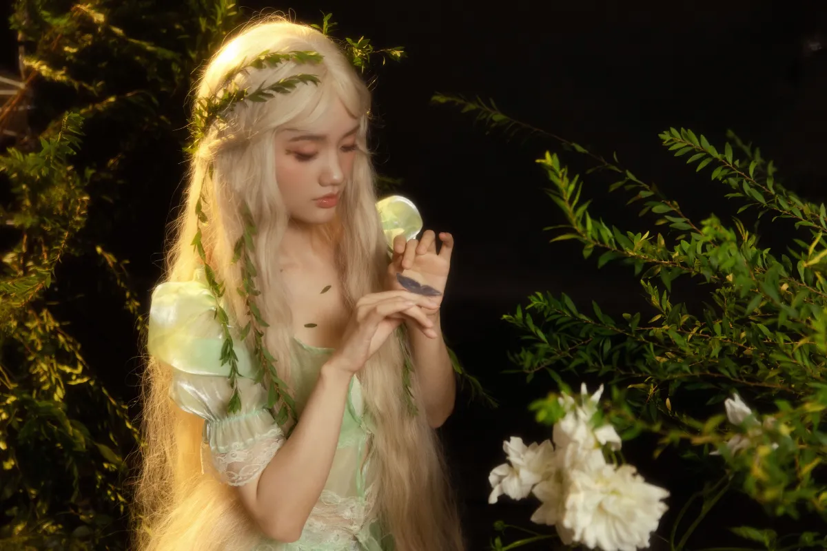 森的精灵