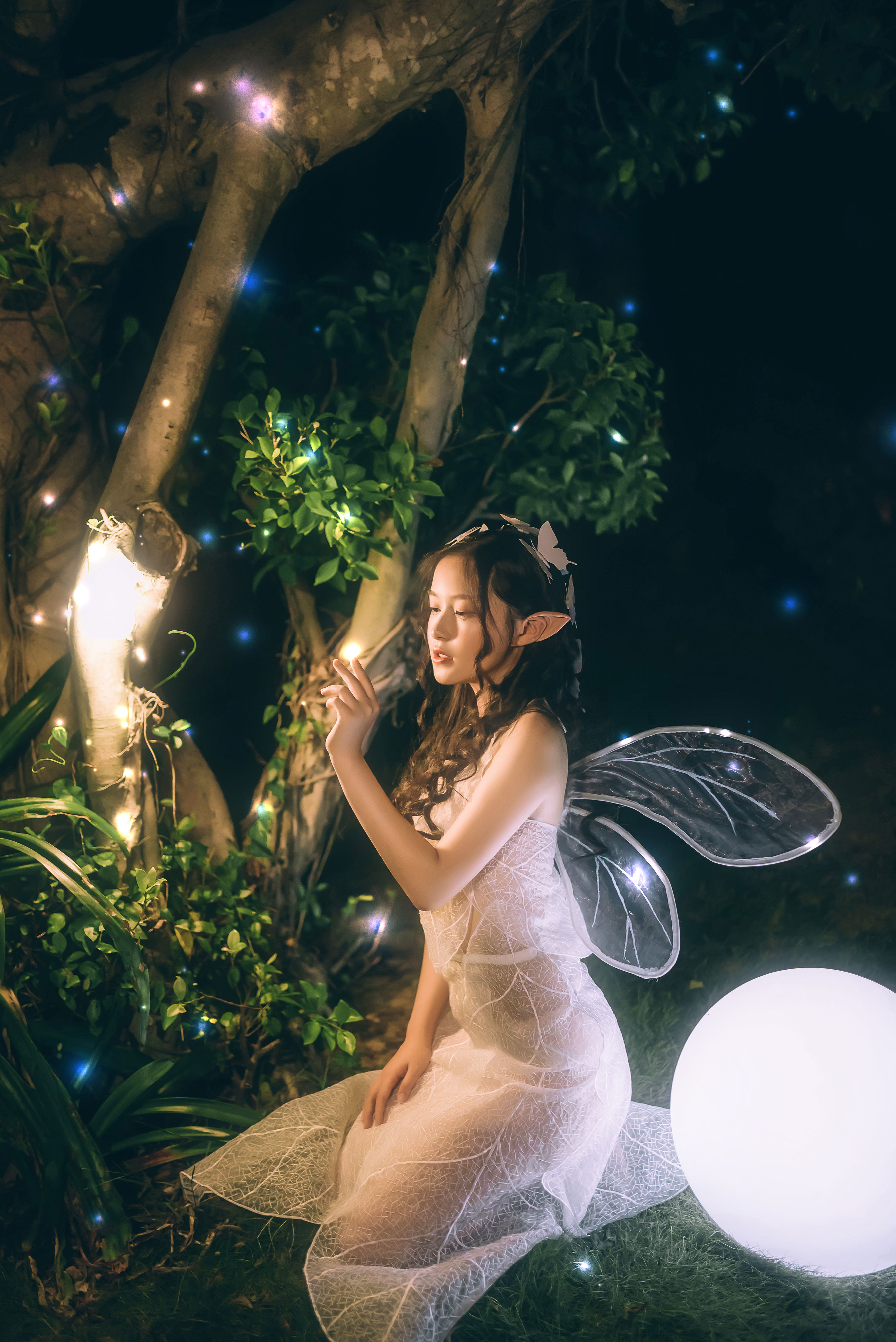 白夜精灵