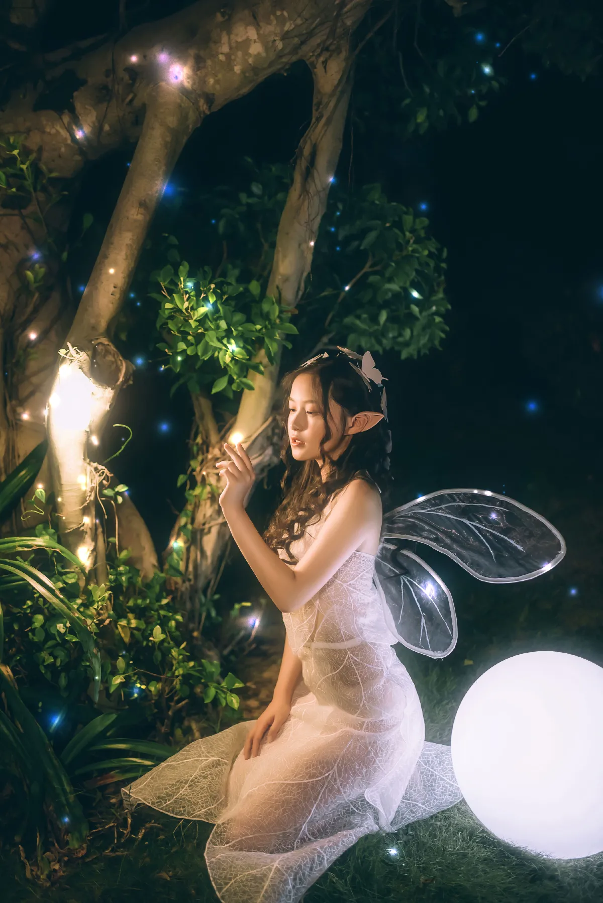 白夜精灵