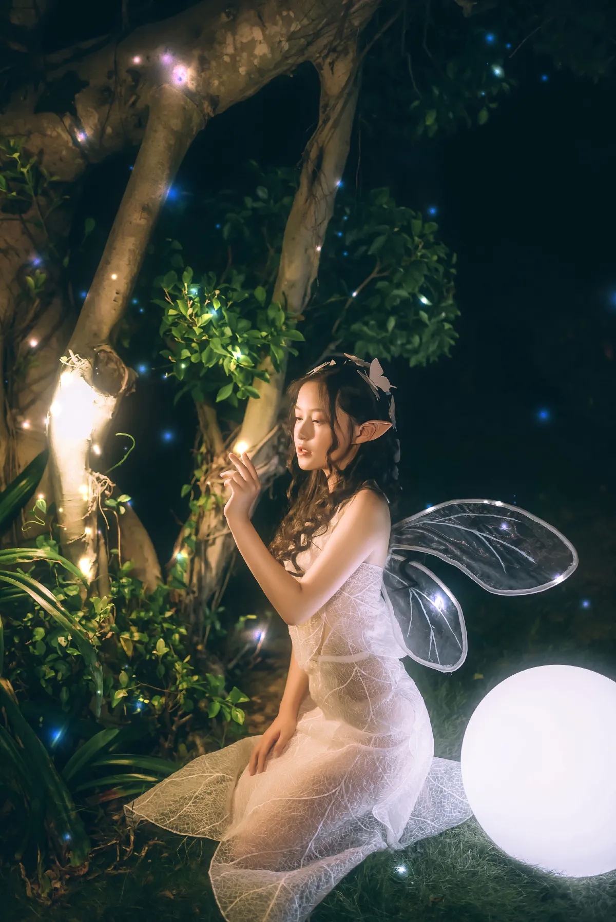 白夜精灵1