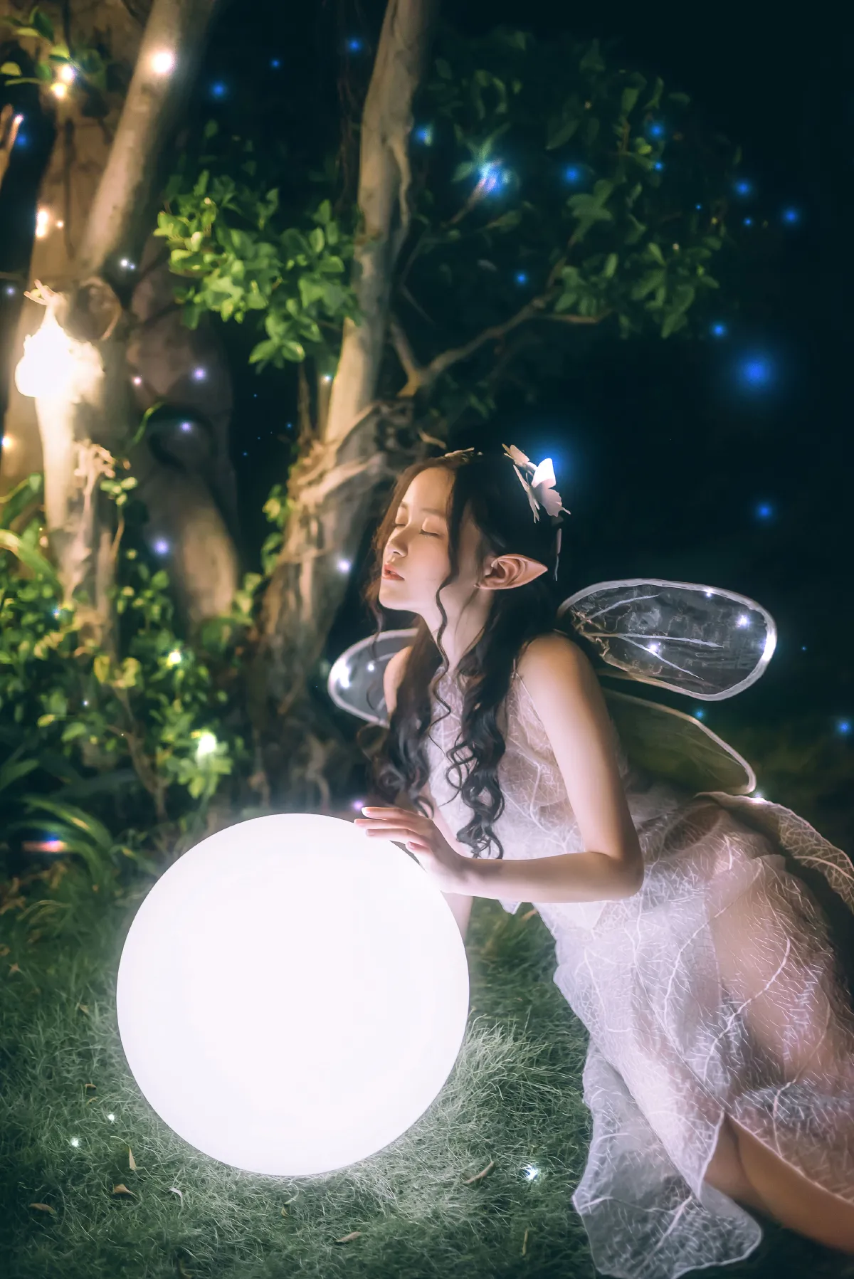 白夜精灵