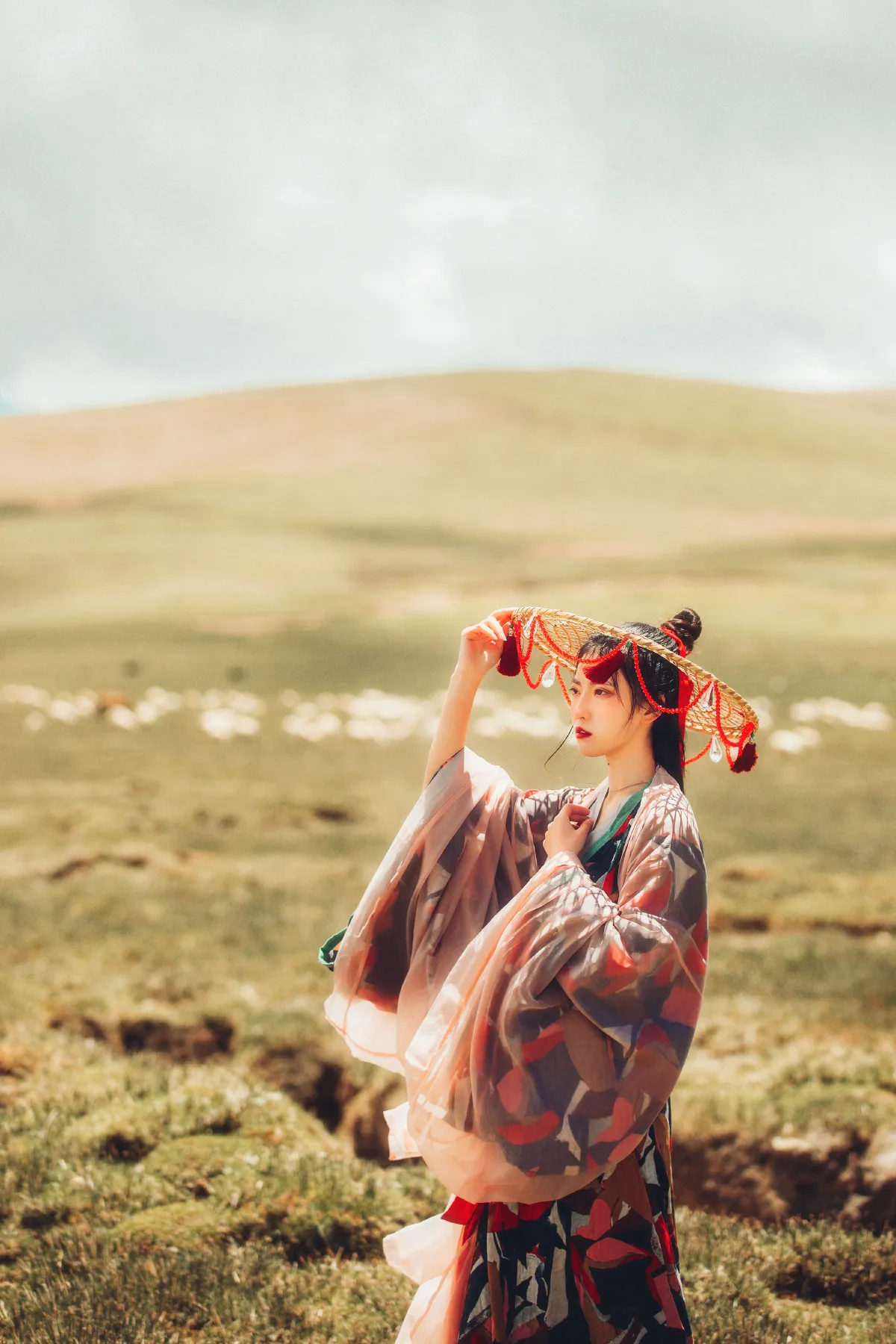天涯牧歌1