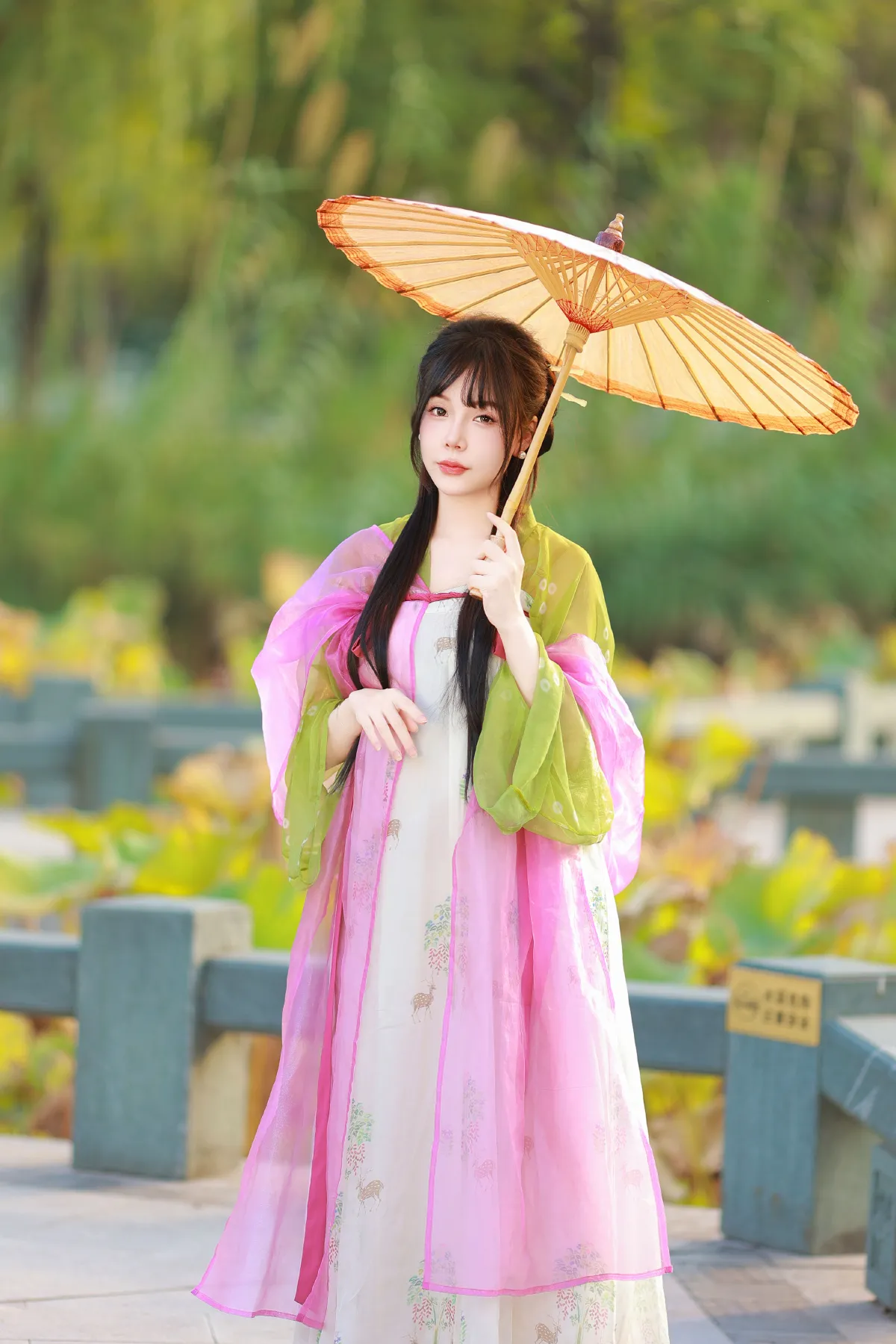 杨柳声声荷塘里2