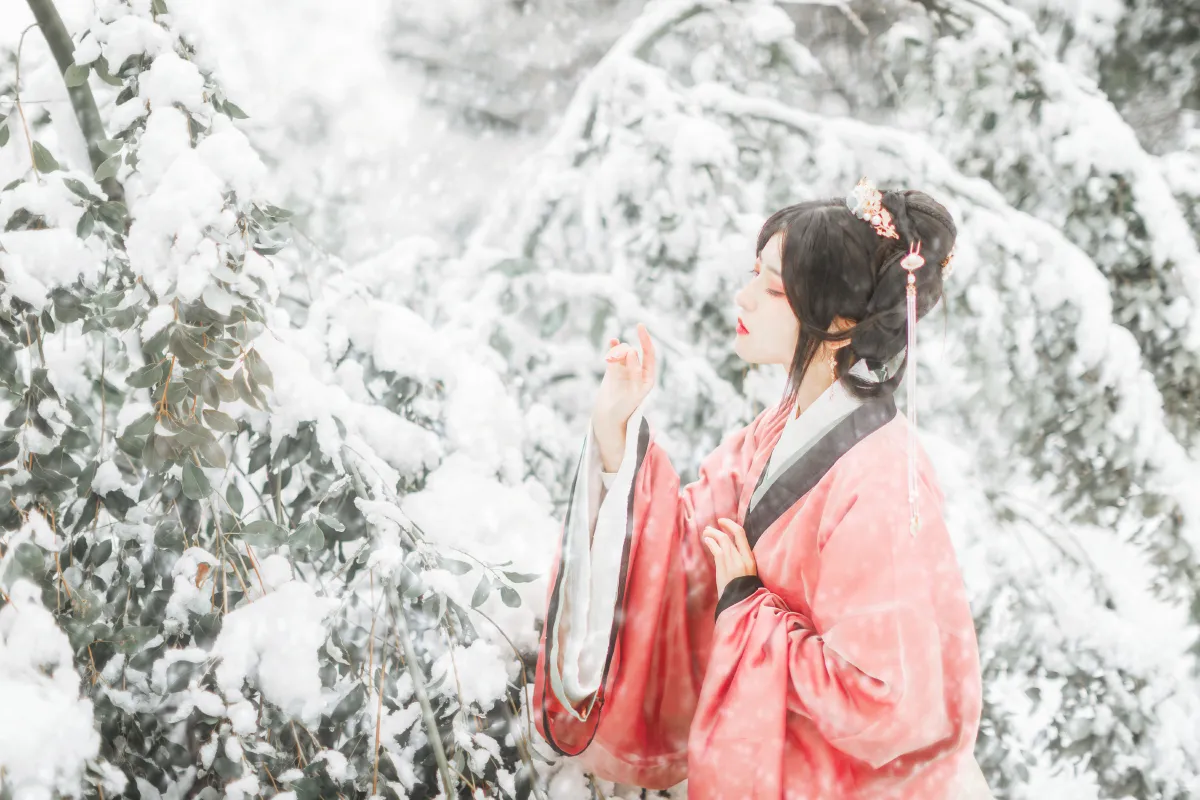 飞雪慕思归2