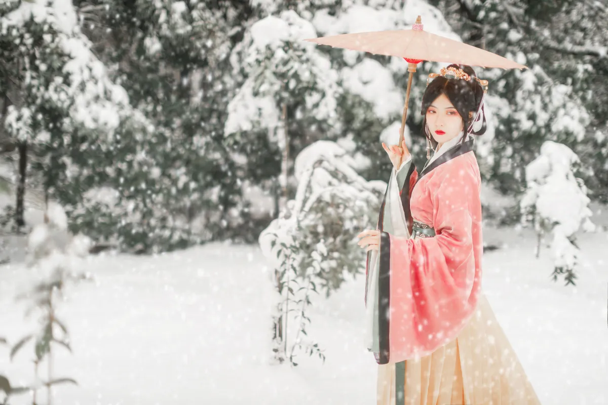 飞雪慕思归