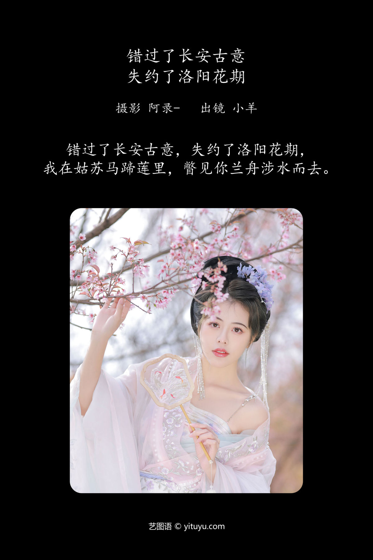 阿录-_聒噪小羊《错过了长安古意，失约了洛阳花期》美图作品图片2