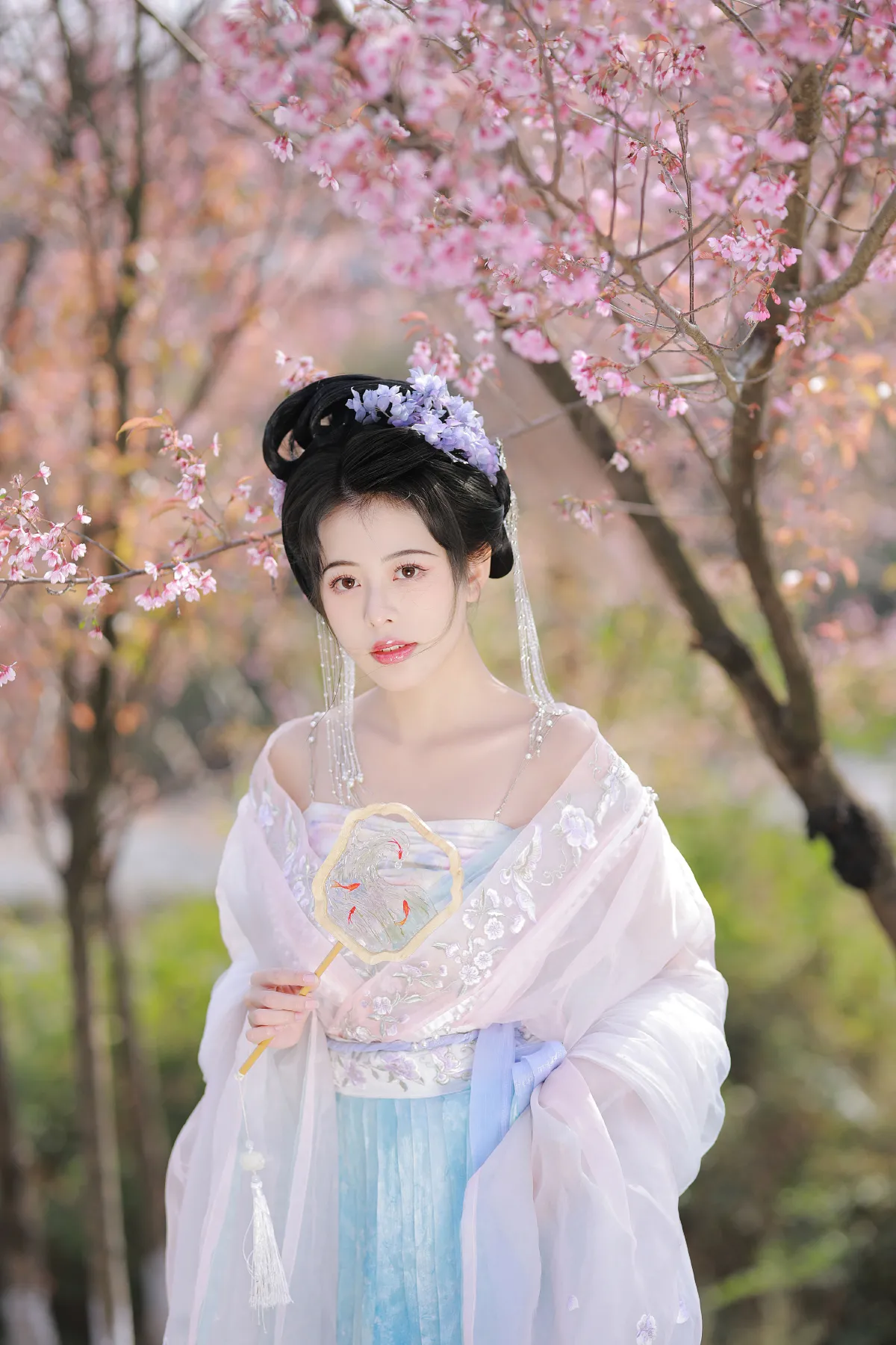 错过了长安古意，失约了洛阳花期1