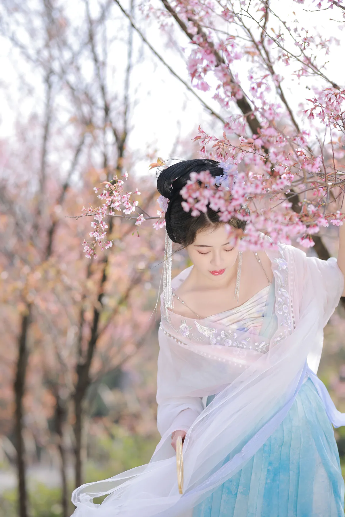 错过了长安古意，失约了洛阳花期