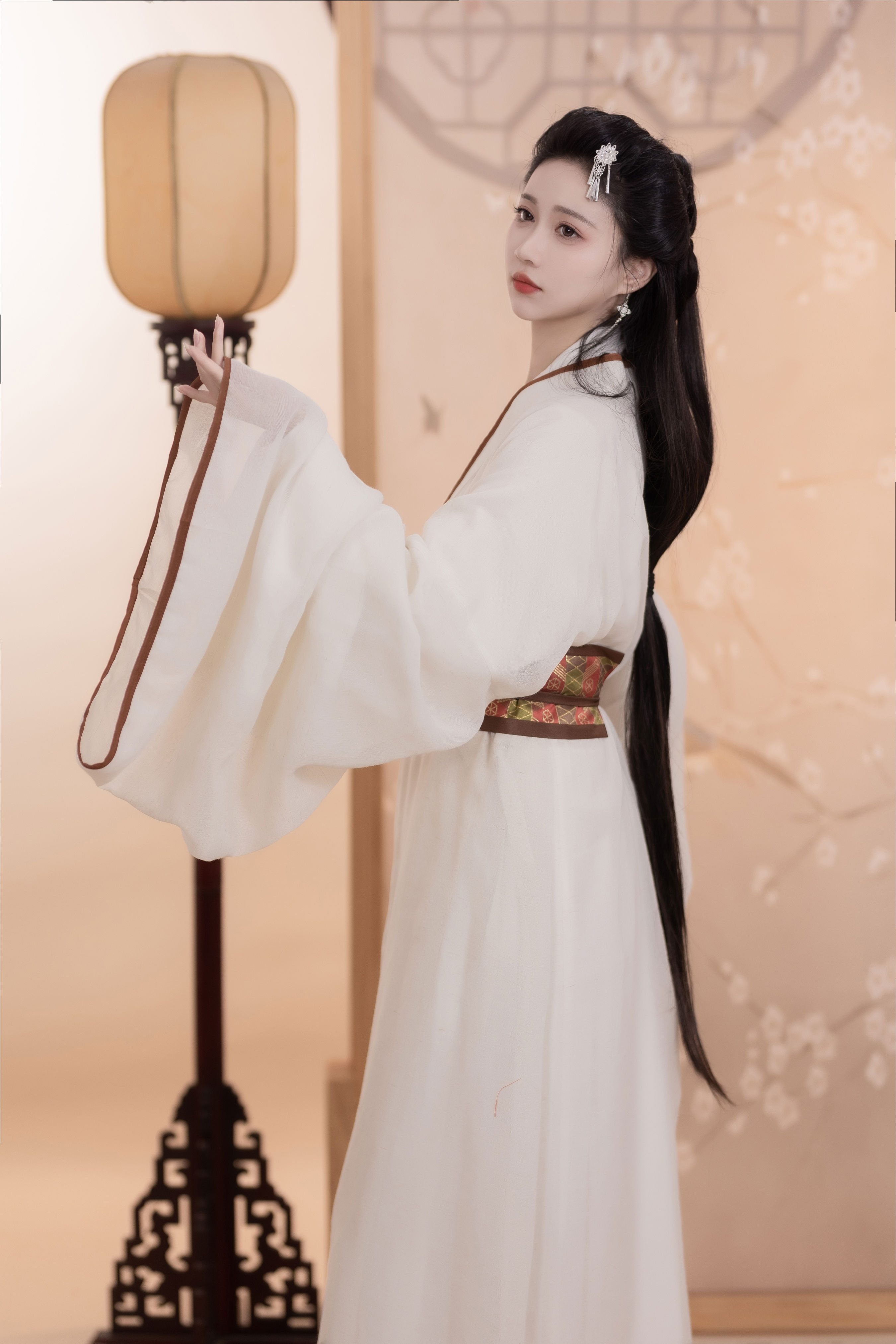 入画