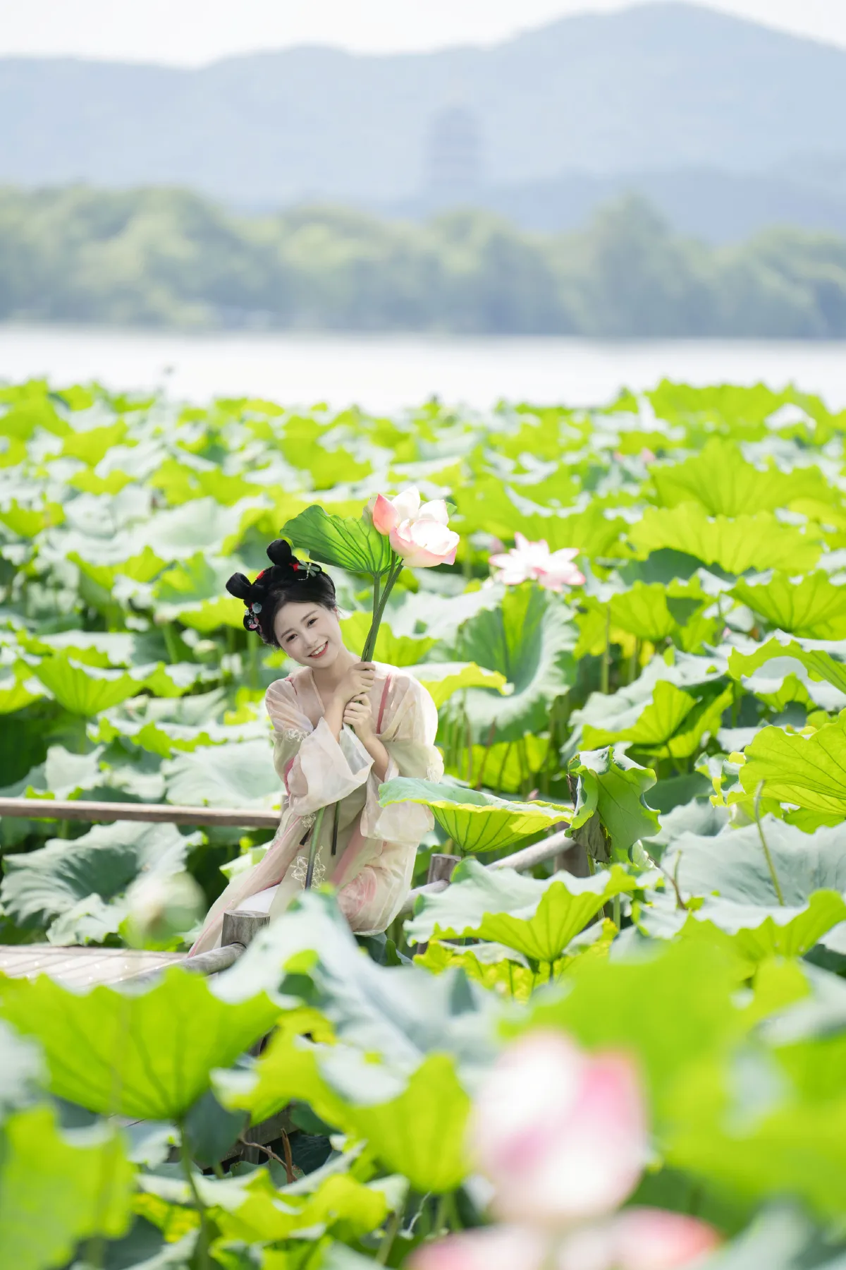 夏日限定荷花少女