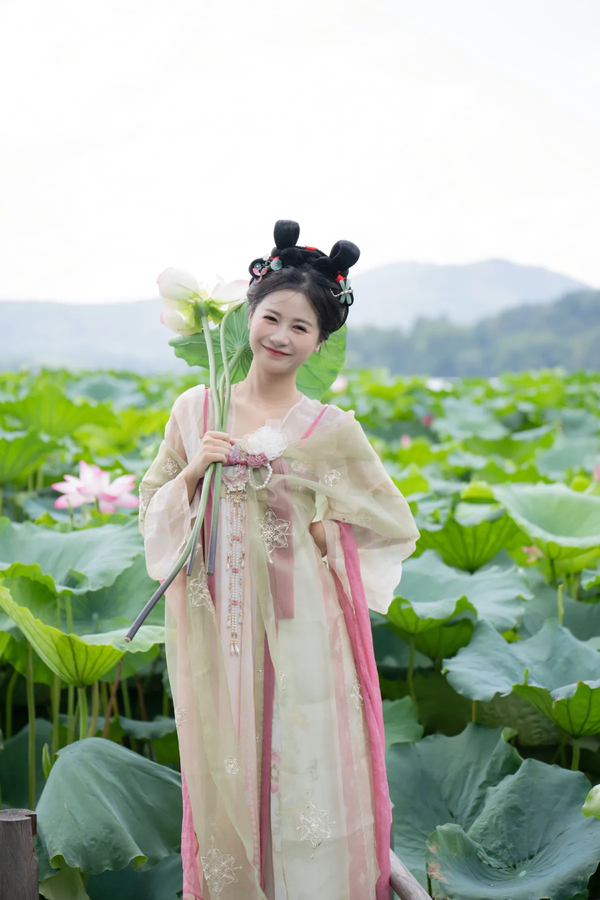 夏日限定荷花少女1
