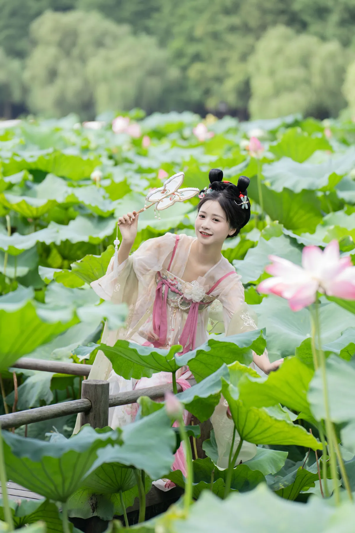夏日限定荷花少女