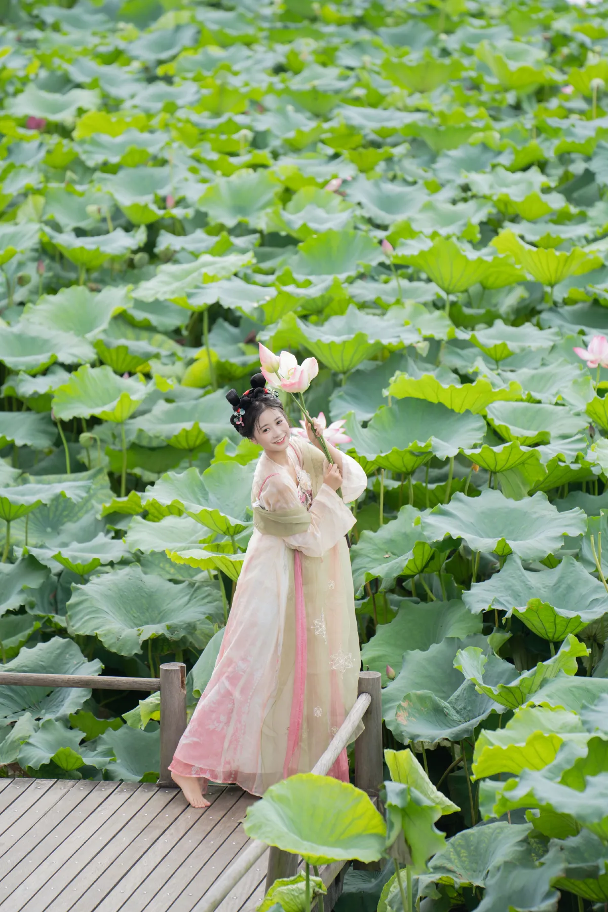 夏日限定荷花少女