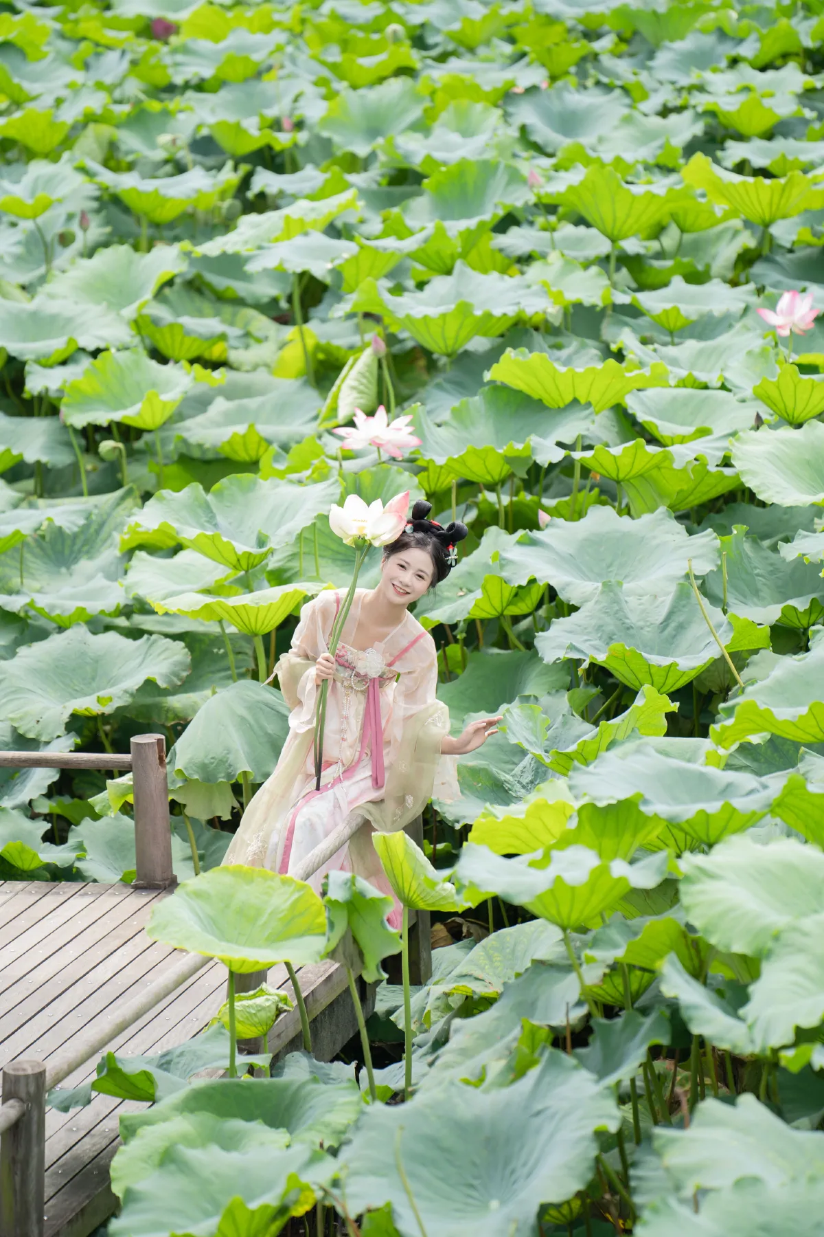 夏日限定荷花少女