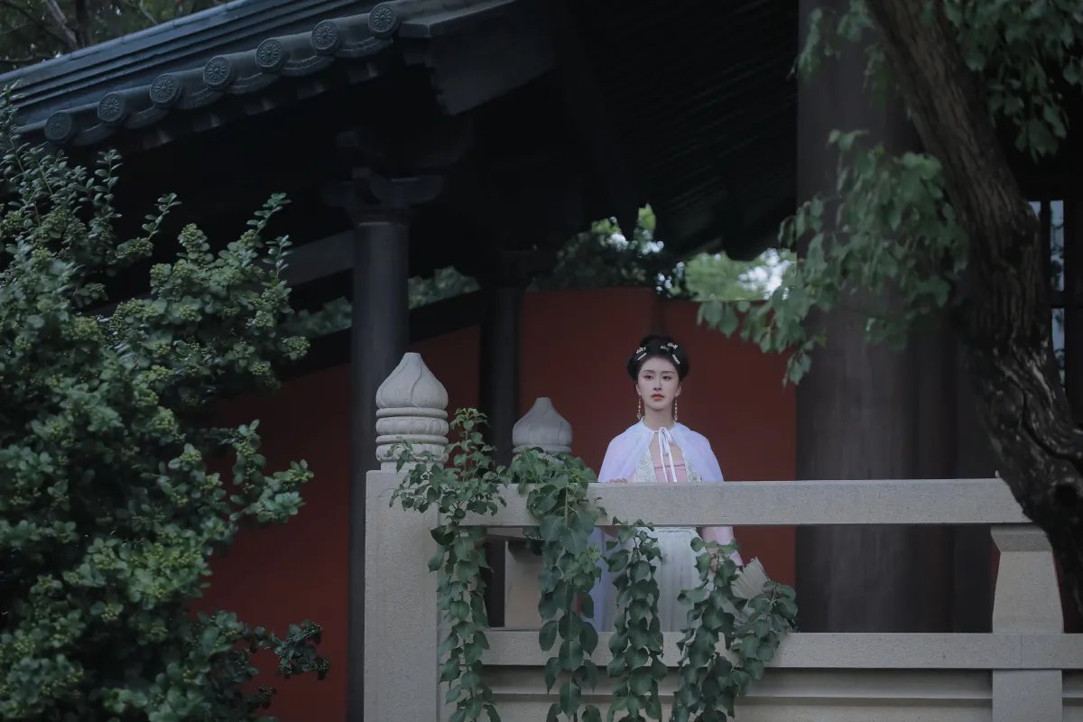 梦华录1