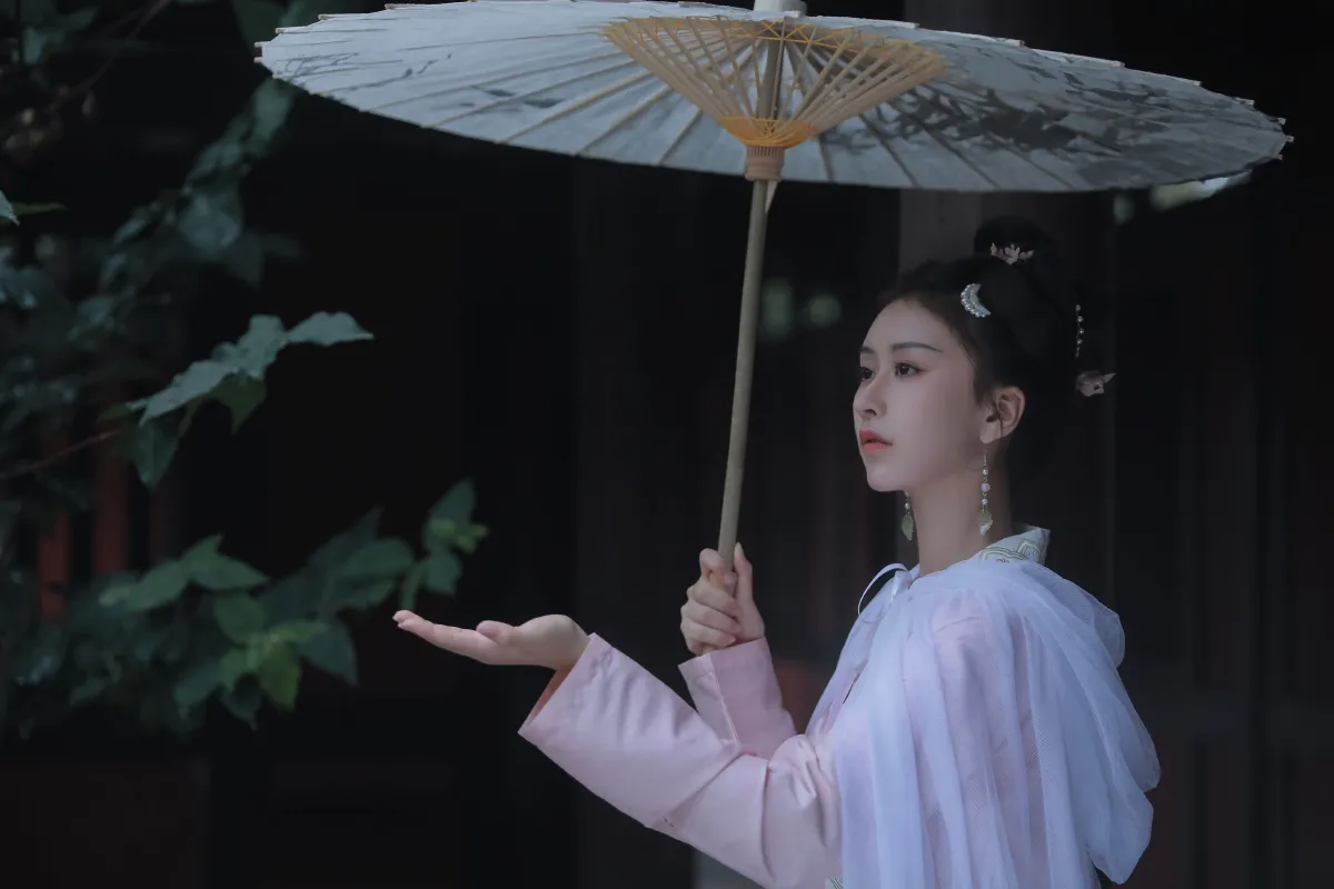 梦华录