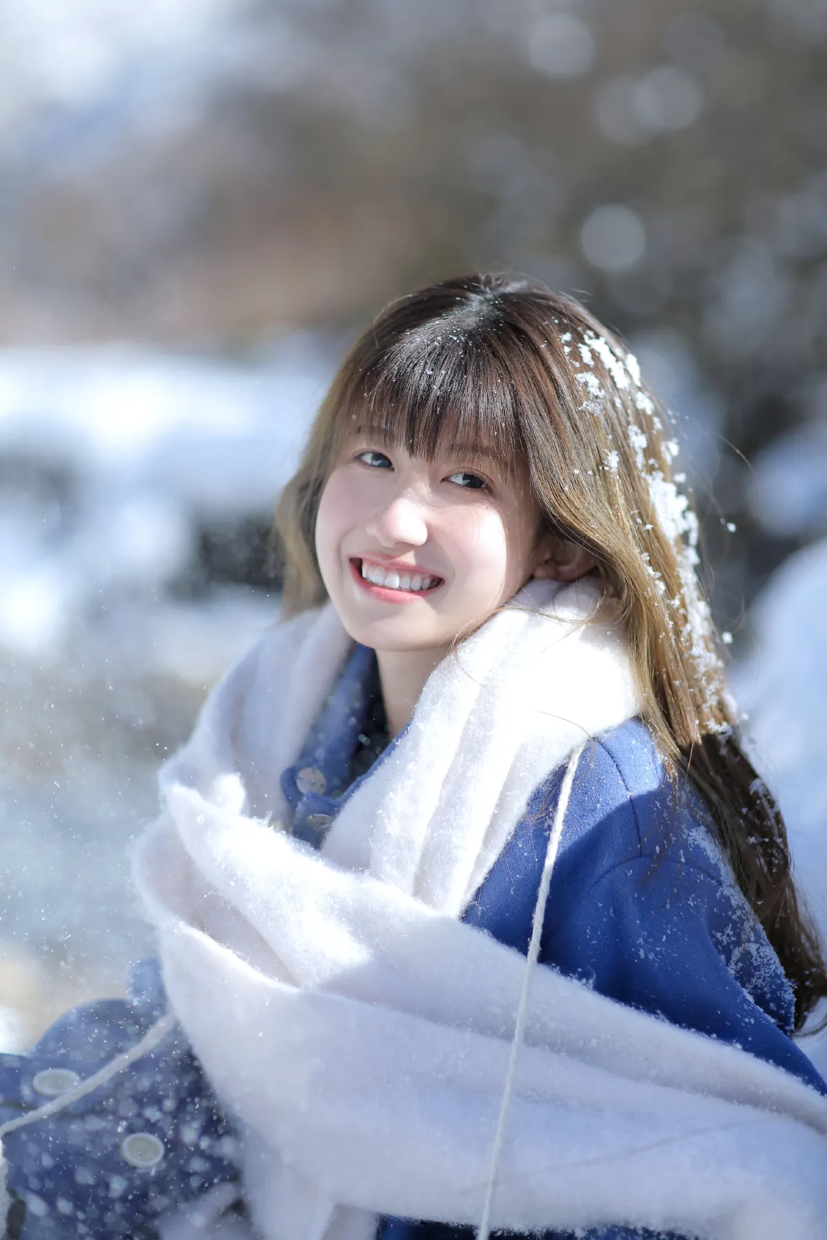 寄给雪山的情书